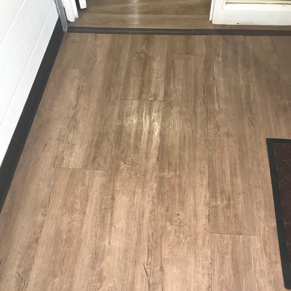 Meet your Posher, Damein - Picture 1 of 1